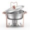 5 Qt Chafing Dish Buffet Set, Catering Warmer with Pans and Stand